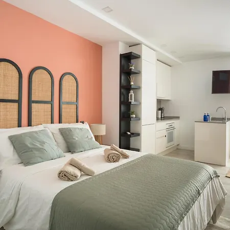 Estudio En El Corazon De Palmas Gb1c *