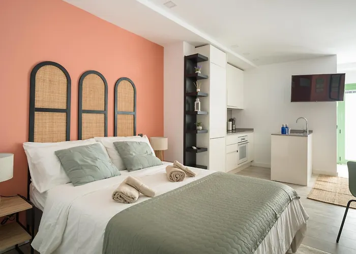 Estudio En El Corazon De Palmas Gb1c *