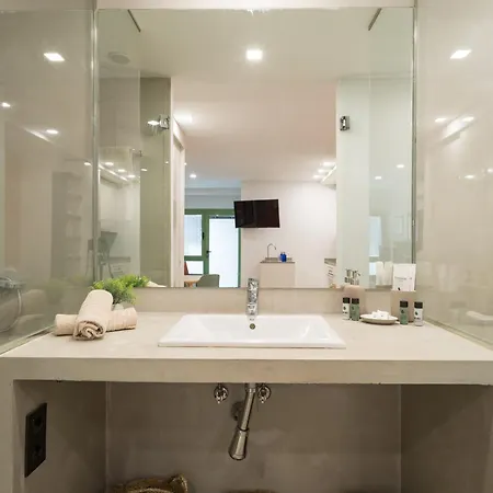 Estudio En El Corazon De Palmas Gb1c