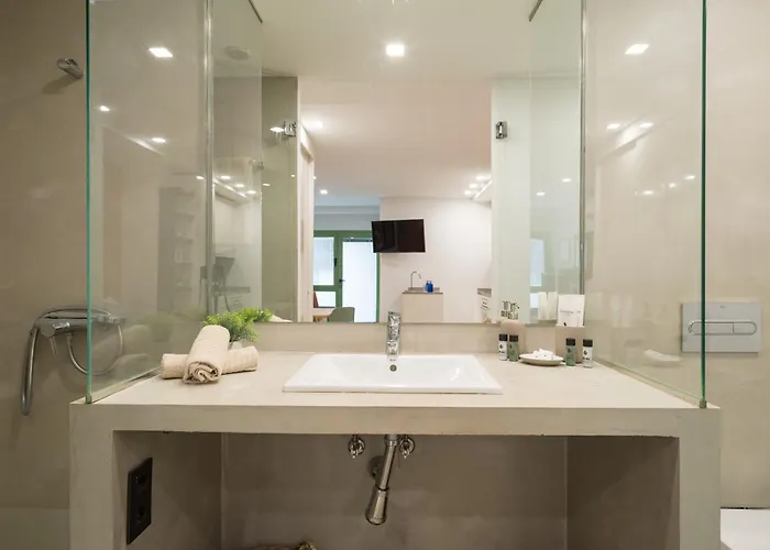 Estudio En El Corazon De Palmas Gb1c